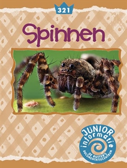 Spinnen (Junior)