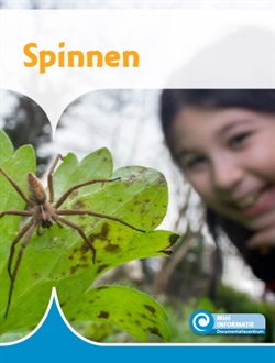 Spinnen Mini Informatie