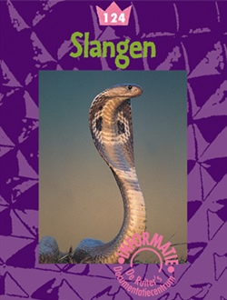 Slangen