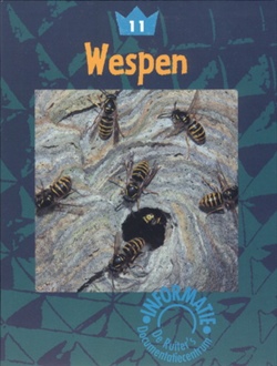 Wespen