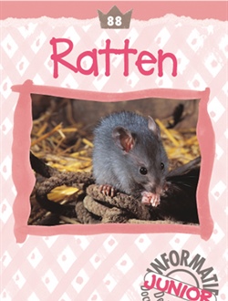 Ratten