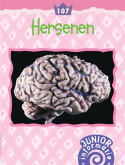 Hersenen (Junior)
