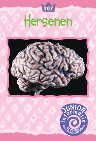 Hersenen (Junior)