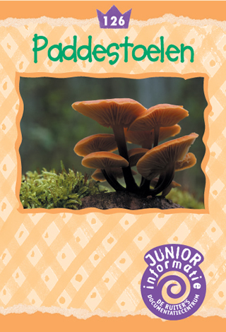 Paddenstoelen