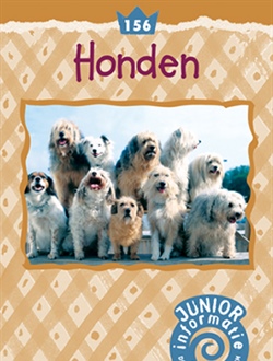 Honden