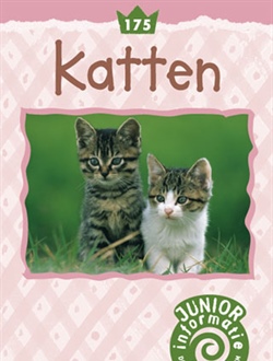 Katten (Junior)