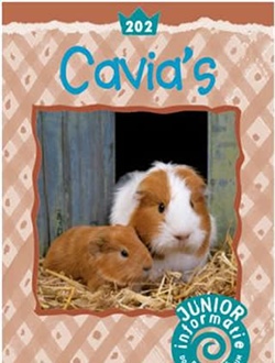 Cavia's