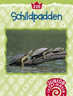 Schildpadden