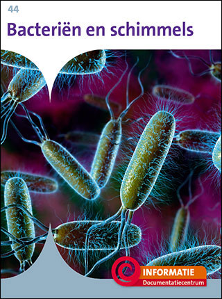 Bacteriën en schimmels