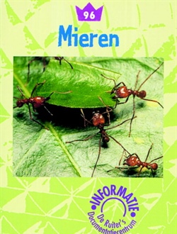 Mieren