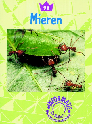 Mieren